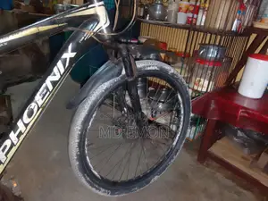 Phoenix Bicycle for Sale
