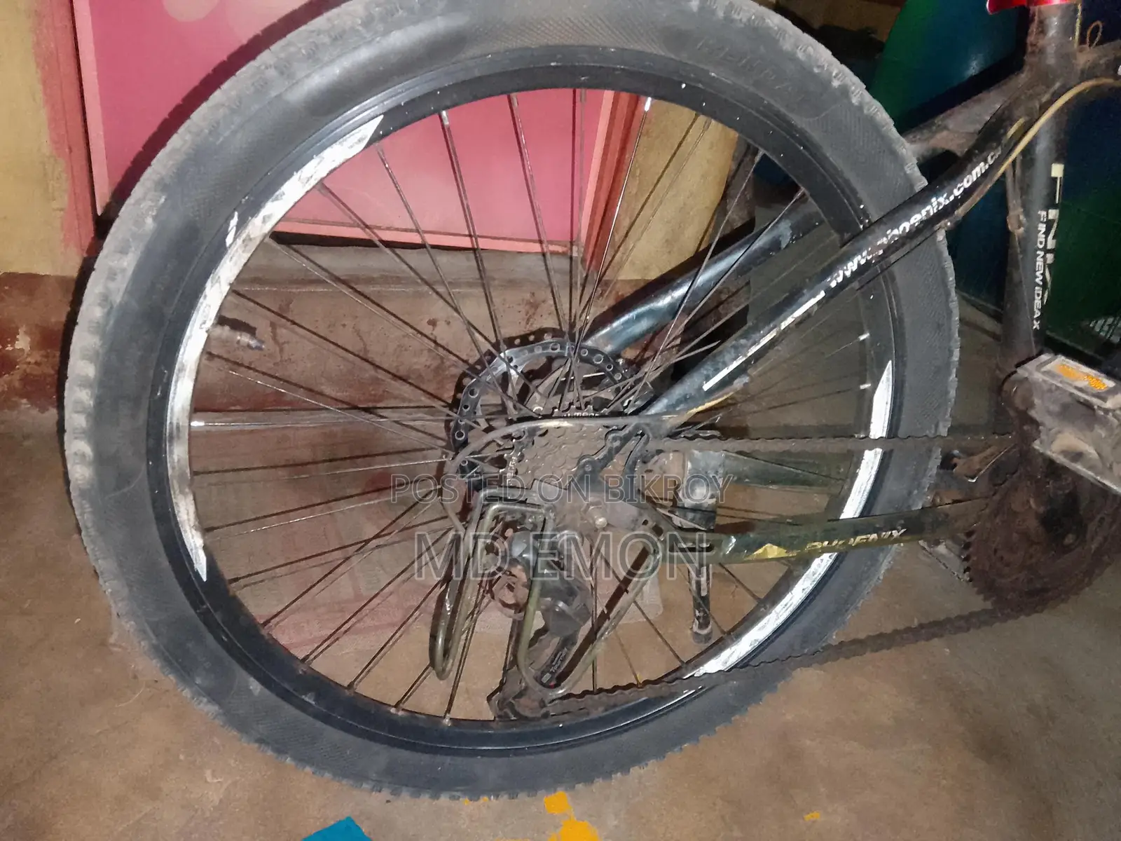 Phoenix Bicycle for Sale