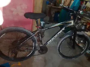 Phoenix Bicycle for Sale