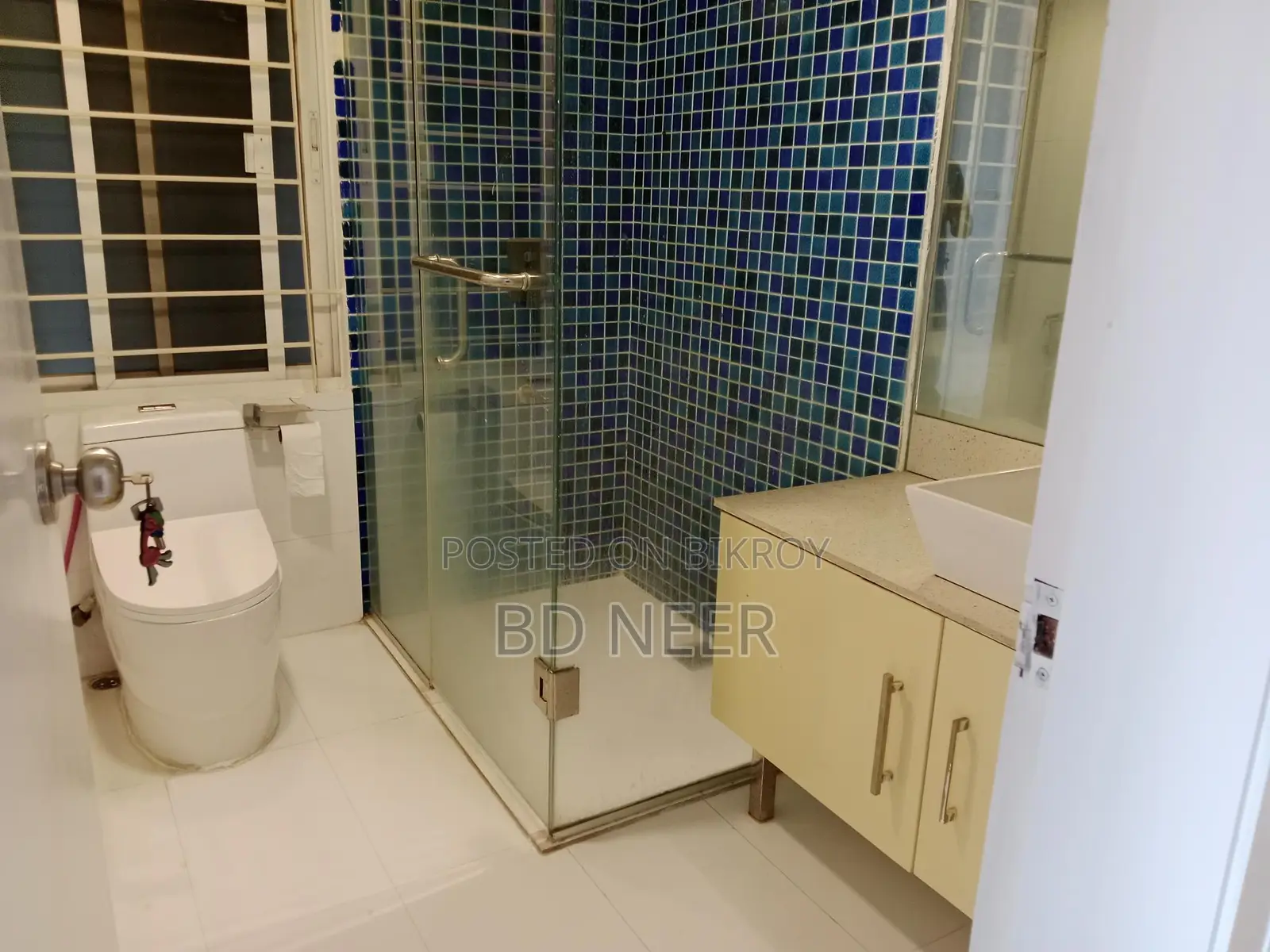 lake view 4 Bed room apt rent in Gulshan 2 North side