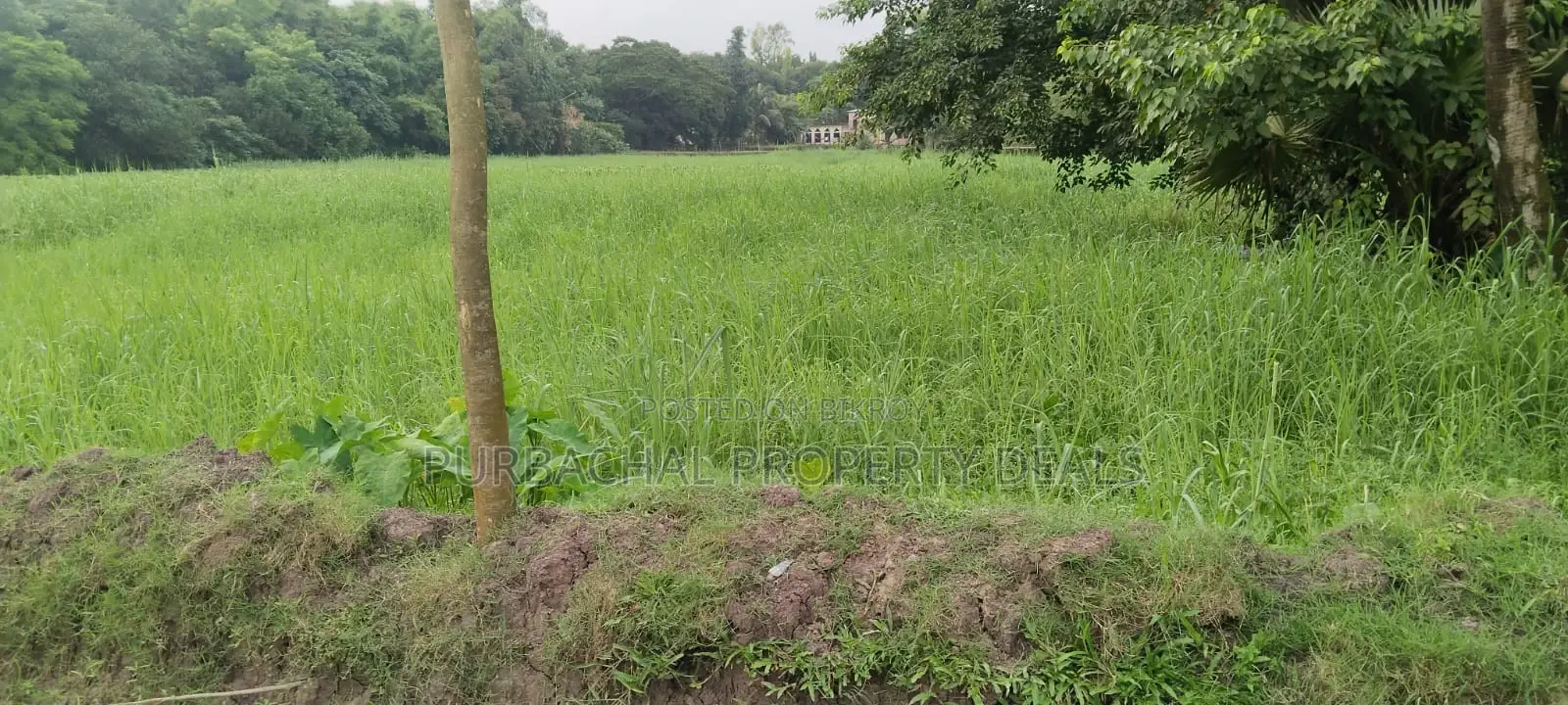 Dream Location! 26 Decimal South-Facing Lake View Land in Purbachal Sector 30
