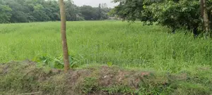 Dream Location! 26 Decimal South-Facing Lake View Land in Purbachal Sector 30