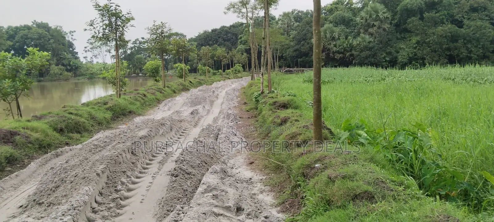 Dream Location! 26 Decimal South-Facing Lake View Land in Purbachal Sector 30