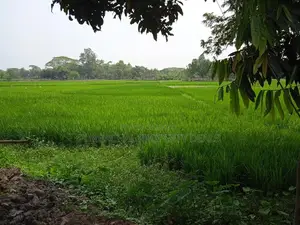 Dream Location! 26 Decimal South-Facing Lake View Land in Purbachal Sector 30