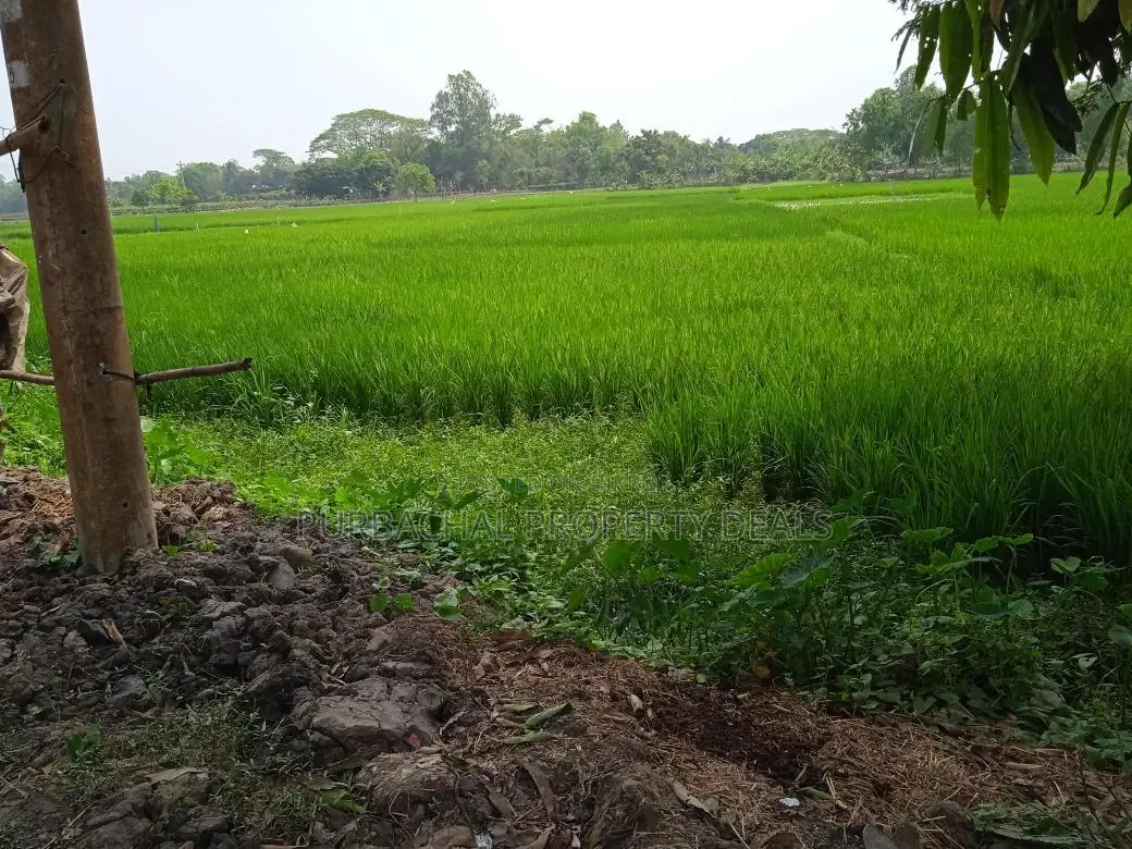 Dream Location! 26 Decimal South-Facing Lake View Land in Purbachal Sector 30