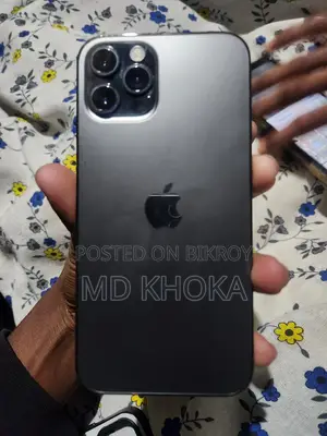 Apple iPhone 12 Pro 256 (Used)