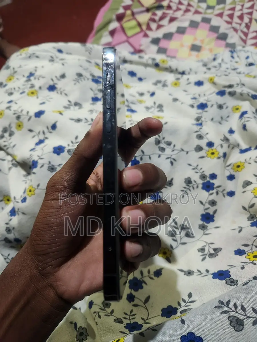 Apple iPhone 12 Pro 256 (Used)