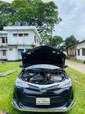Toyota Fielder Hybrid 2018