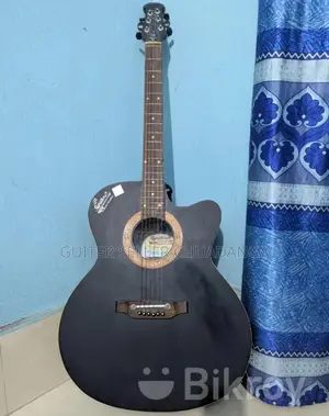 Signature Guitar