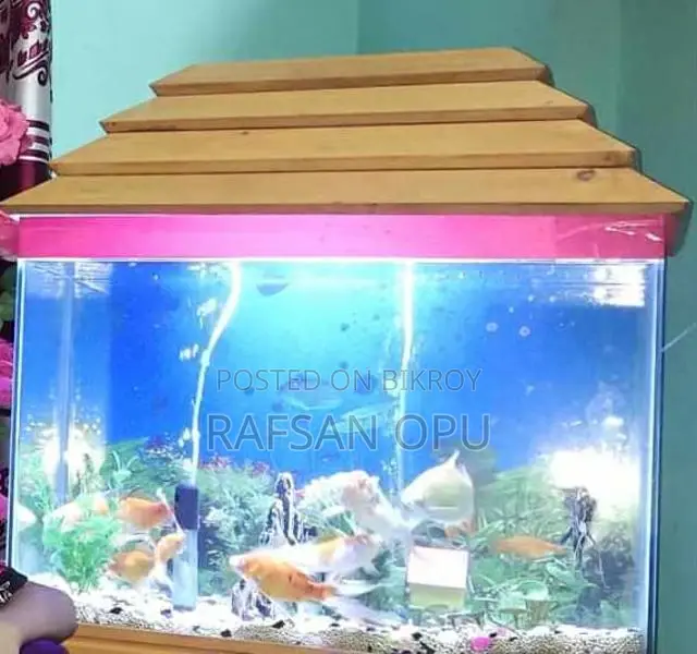 Selling an Aquarium