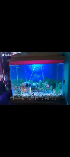 Selling an Aquarium