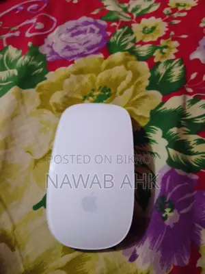 APPLE MOUSE