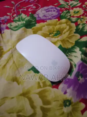 APPLE MOUSE