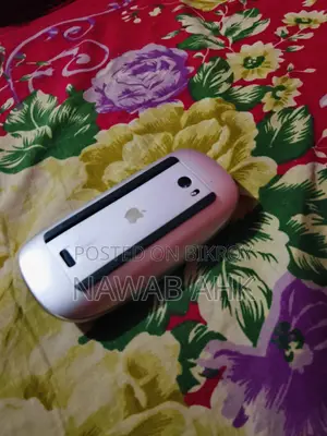 APPLE MOUSE