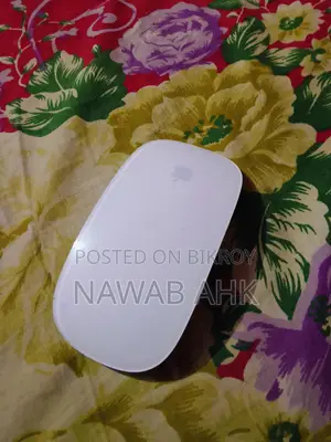 APPLE MOUSE