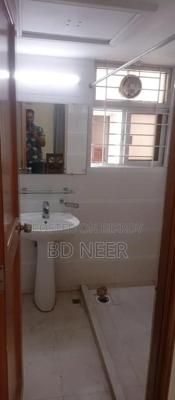 very well fully furnish apt rent in Gulshan
