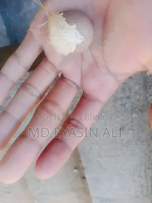 মজা সুপারি