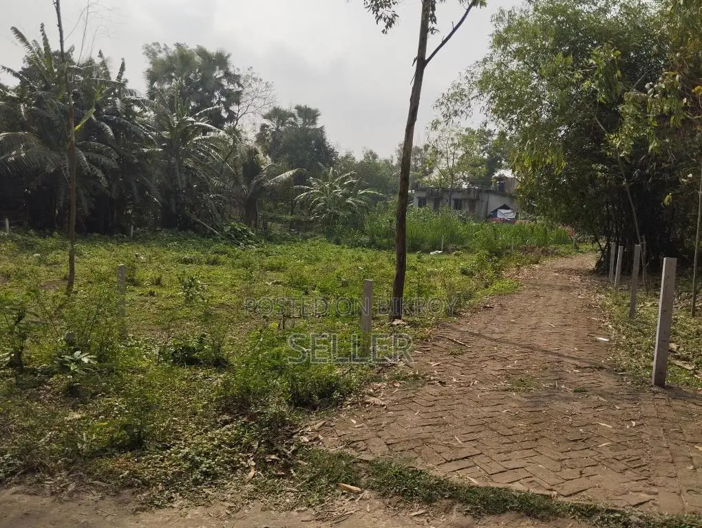 9 Decimal Trouble-Free Land for Sale at Low Price in Gazipur