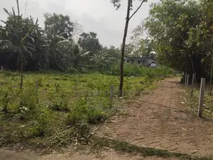 9 Decimal Trouble-Free Land for Sale at Low Price in Gazipur