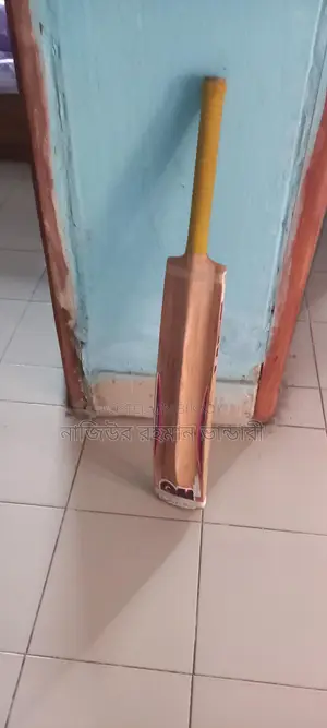 ব্যবহৃত ক্রিকেট ব্যাট