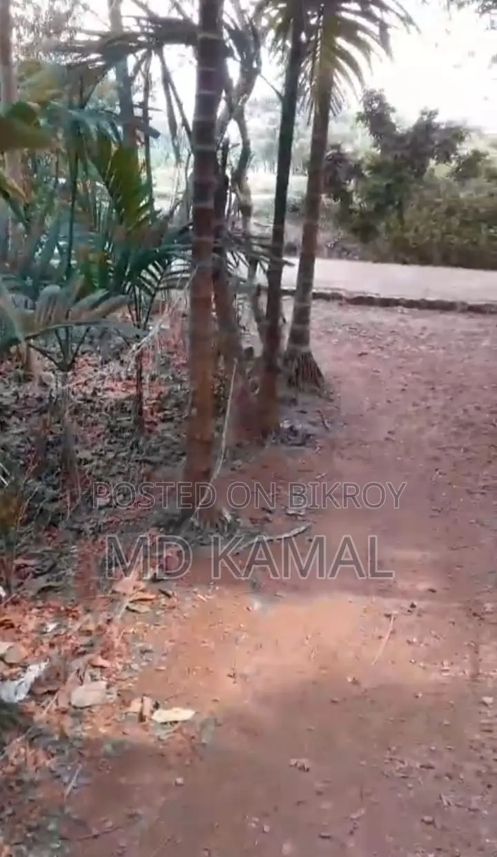 বাড়ির জিমি বিক্রয় করা হবে,পিজের রাস্তার সাথে