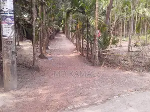 বাড়ির জিমি বিক্রয় করা হবে,পিজের রাস্তার সাথে