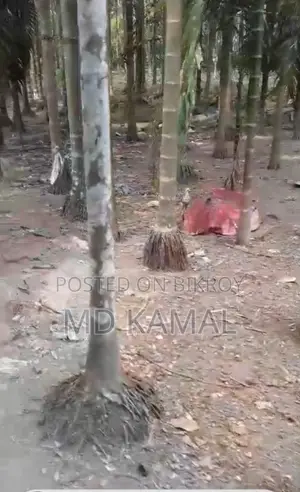 বাড়ির জিমি বিক্রয় করা হবে,পিজের রাস্তার সাথে