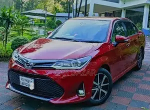 Toyota Axio G WXB SEDAN PUSH 2017