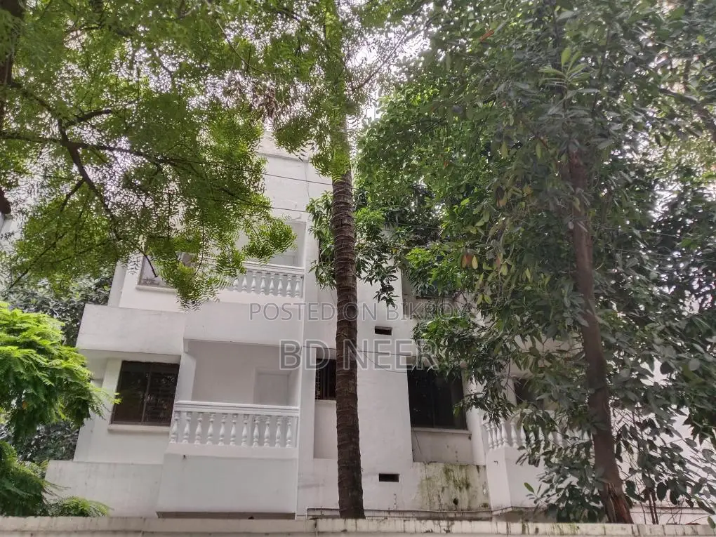 indipendent 3 stores house 10+ room available in Gulshan 2