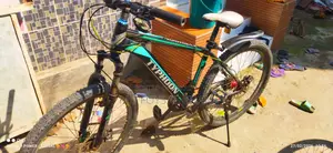Fully Fresh Bicycle