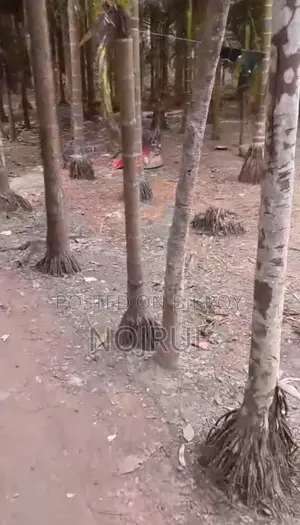 Residential land for sale, adjacent to the main road.