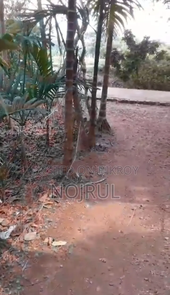 Residential land for sale, adjacent to the main road.