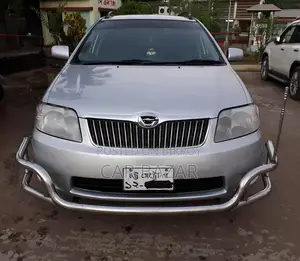 Toyota Corolla Fielder 2005 Silver