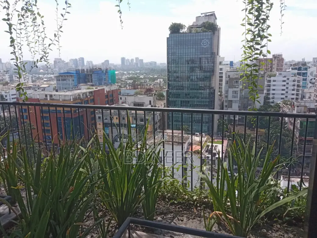 excellent 4 Bed room 4000 sft apt rent in Gulshan 2