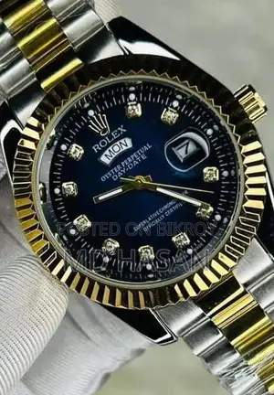 Luxury Two-Tone Watch—Now Within Your Reach!