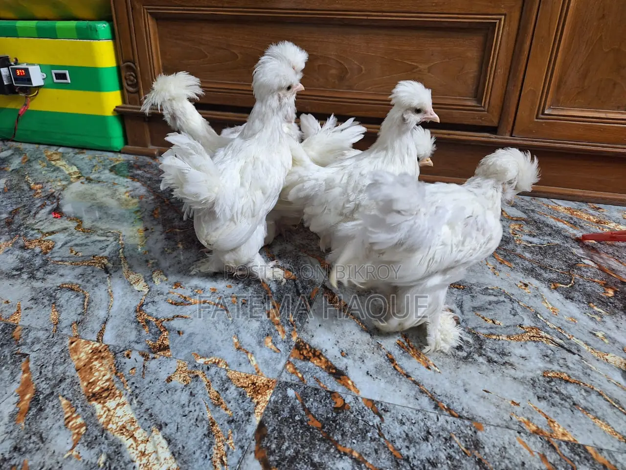 Sultan Chicken