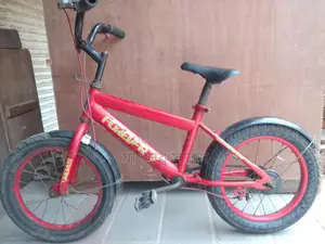 Bicycle for Sale