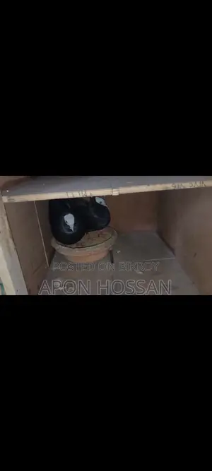 Pigeons