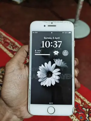 Apple iPhone 8 (Used)