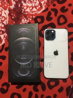 Apple iPhone 12 Pro Max (Used)
