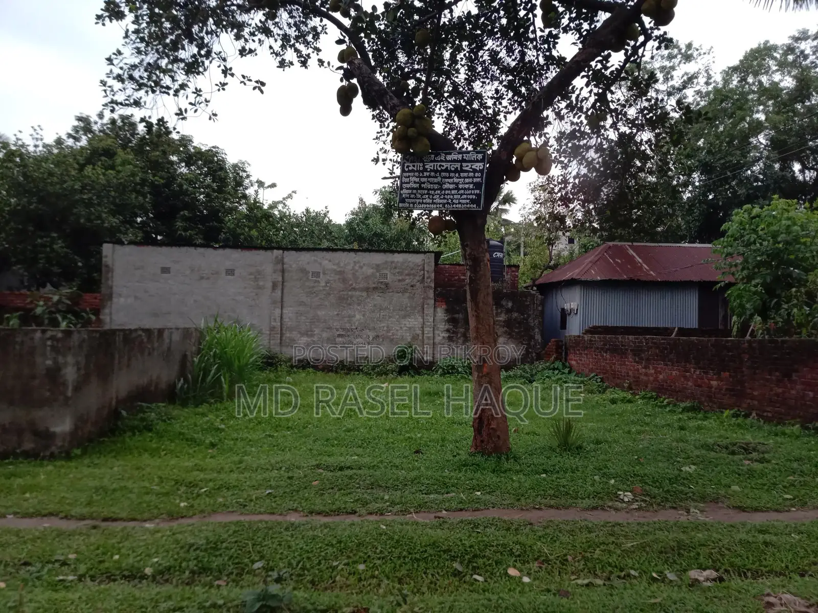 Want to sell land