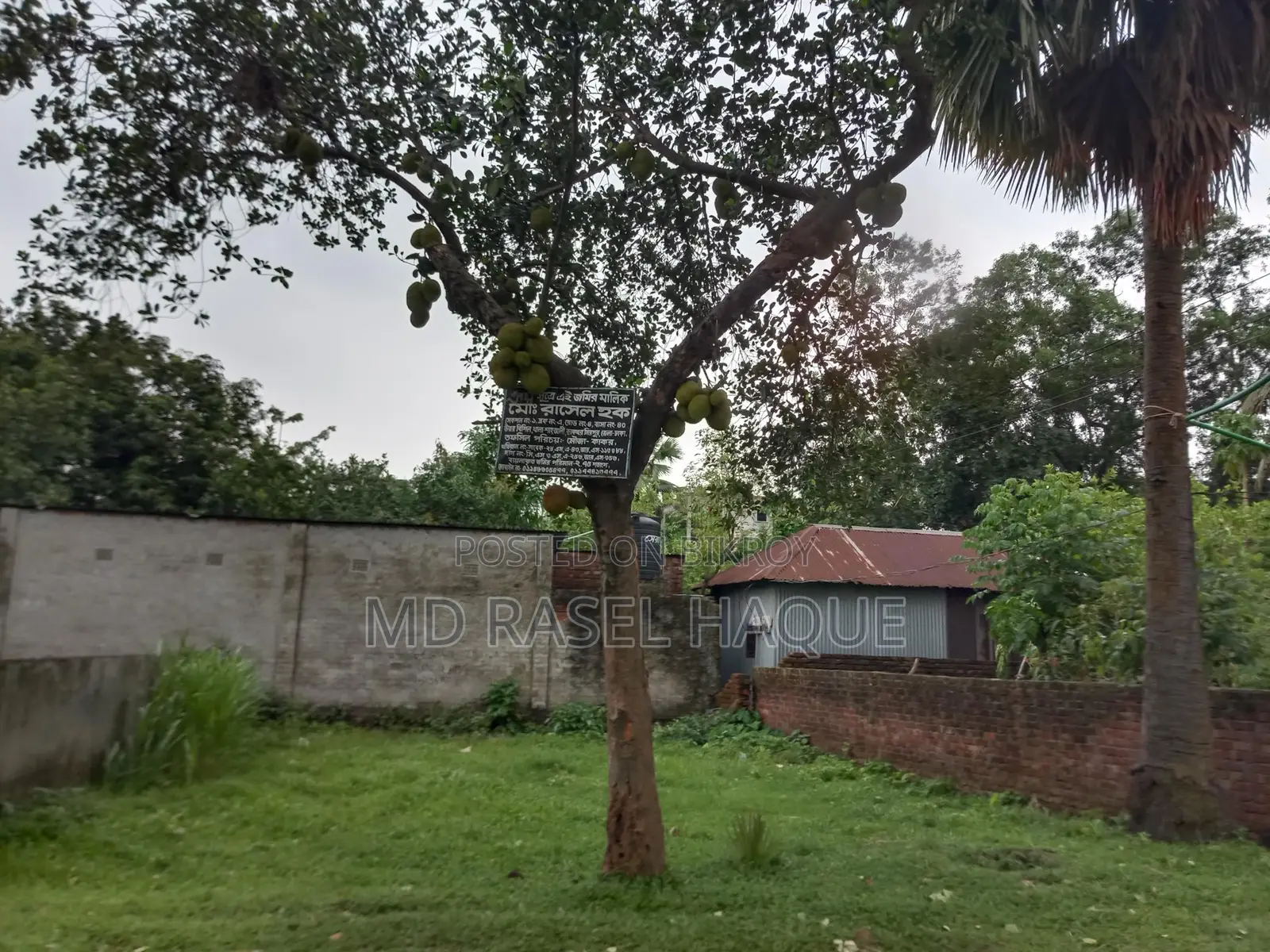 Want to sell land