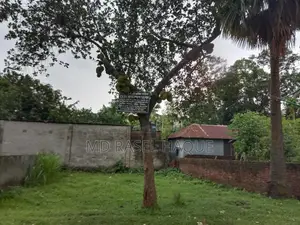 Want to sell land