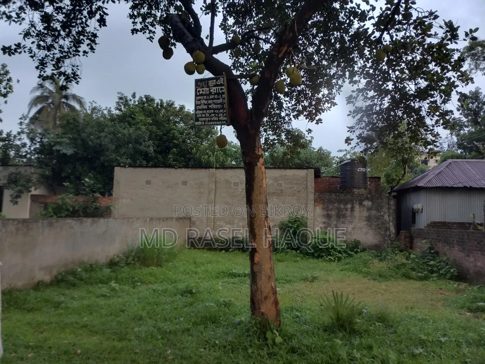 Want to sell land
