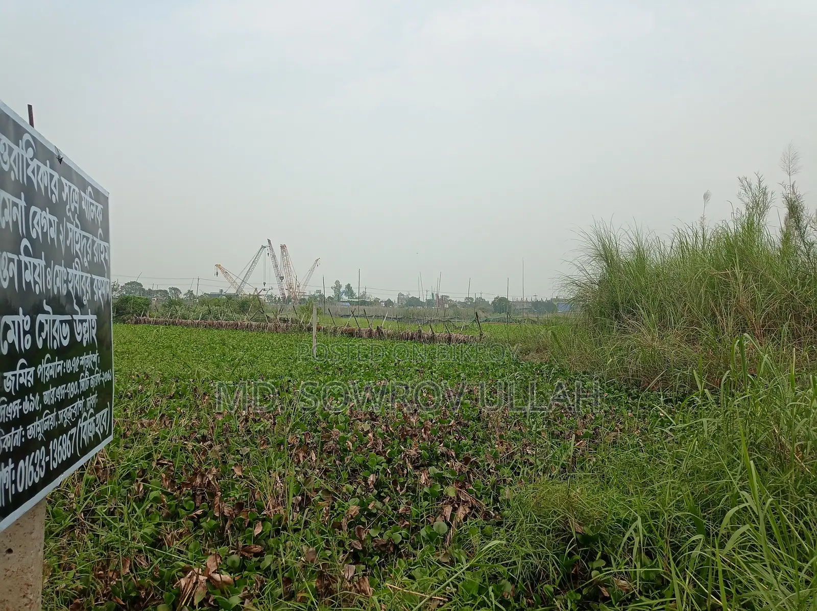 Land For Sale