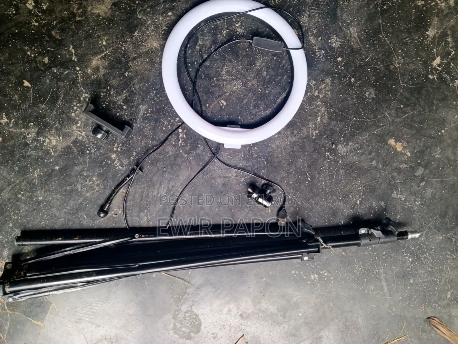 Stand light