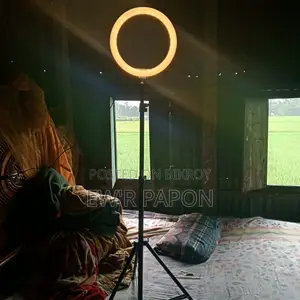 Stand light
