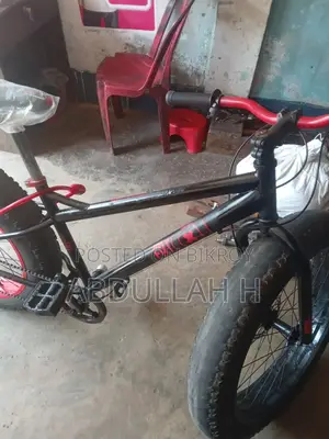 Fat Tire Bike
