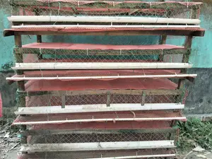 ৬০০ টি পাখি রাখার খাঁচা বিক্রয় করা হইবে