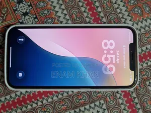 Apple iPhone 12 Pro Max Dhaka Badda Gulshan (Used)